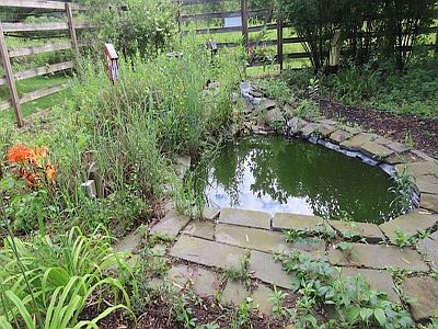 Garden Pond